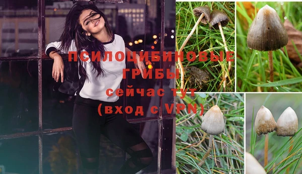 дмт Нягань