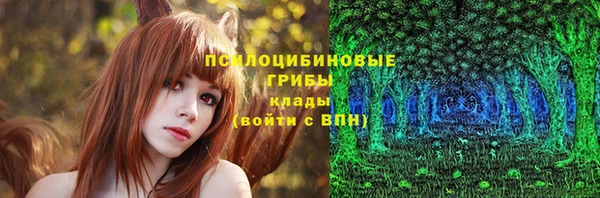 тгк Беломорск